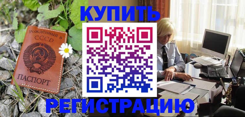 временная регистрация недорого в Асино